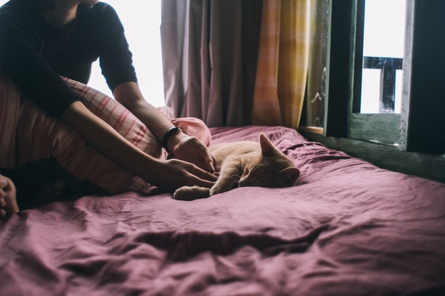 Žena sedí na posteli a hrá sa s ryšavou mačkou